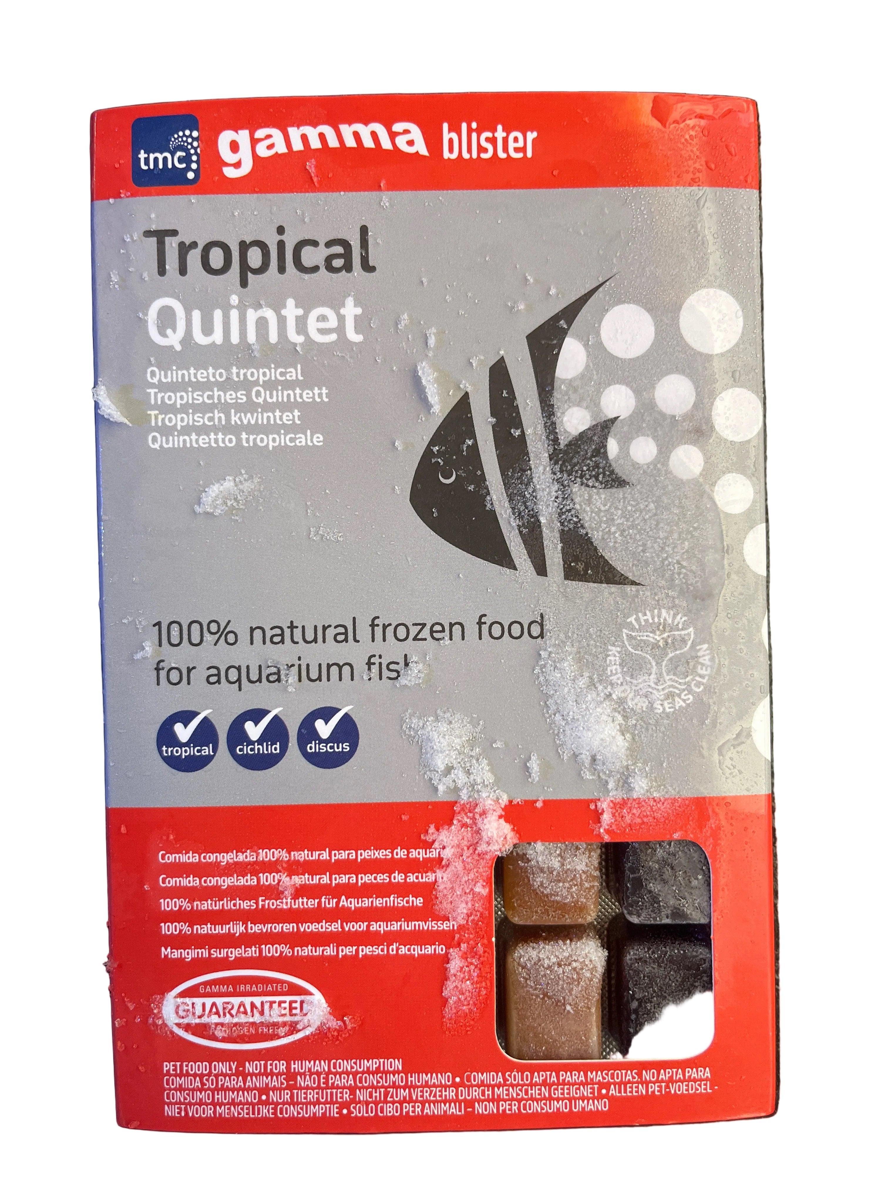 Gamma Blister (TMC)Tropical Quintet