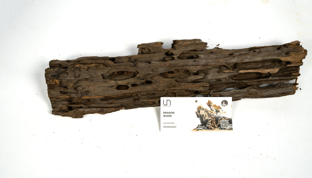 Ultum-Nature-Systems-Dragon-Wood