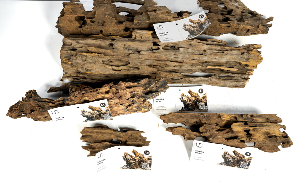 Ultum-Nature-Systems-Dragon-Wood