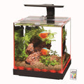 Aqueon Edgelit Rimless Aquarium