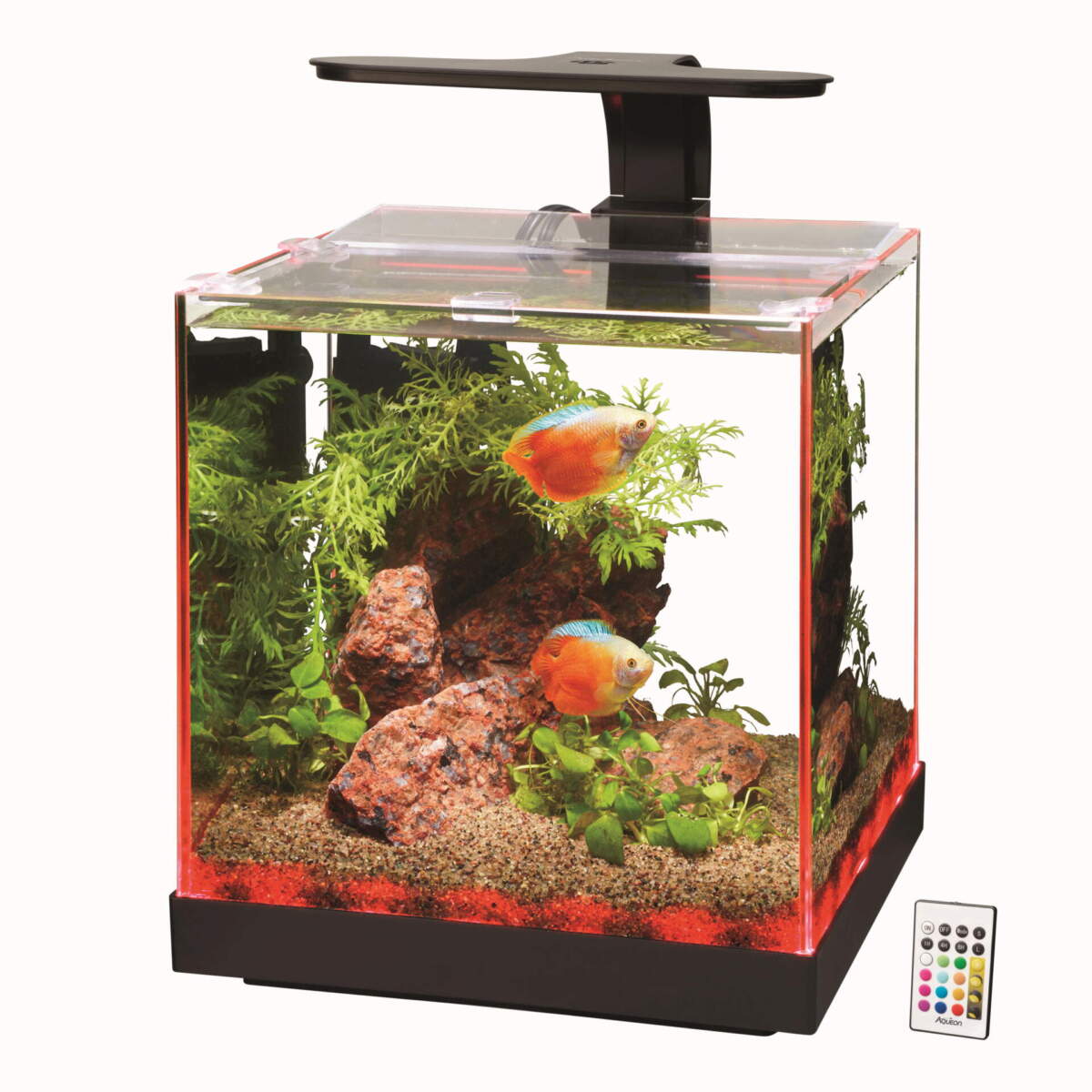 Aqueon Edgelit Rimless Aquarium