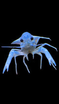Electric-Blue-Lobster