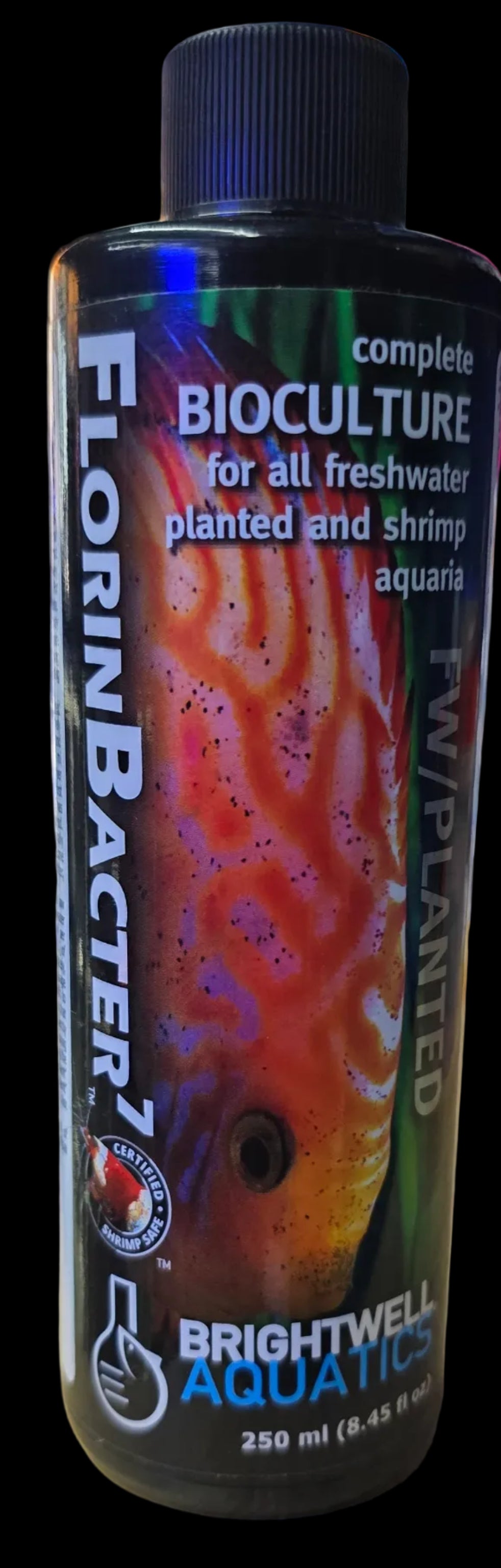 Florinbacter-7
