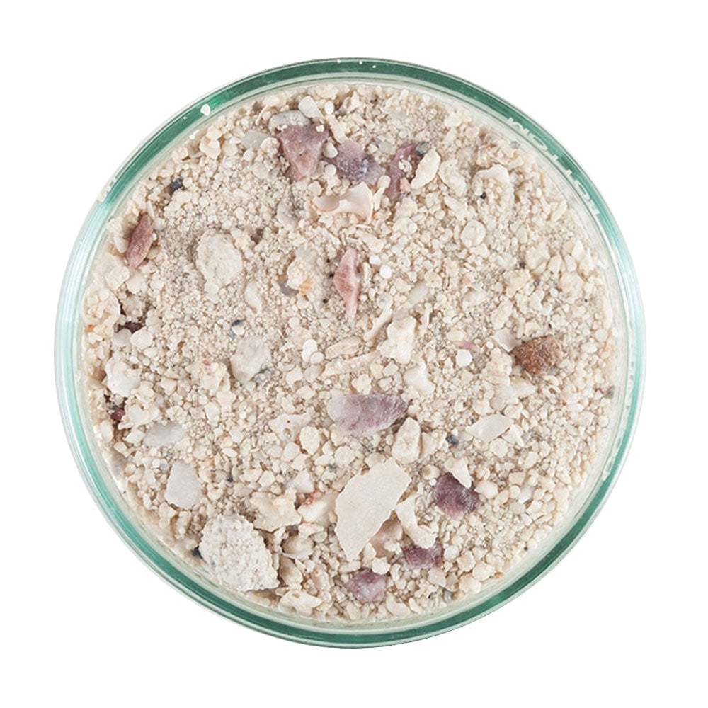 Caribsea Arag Reef Sand