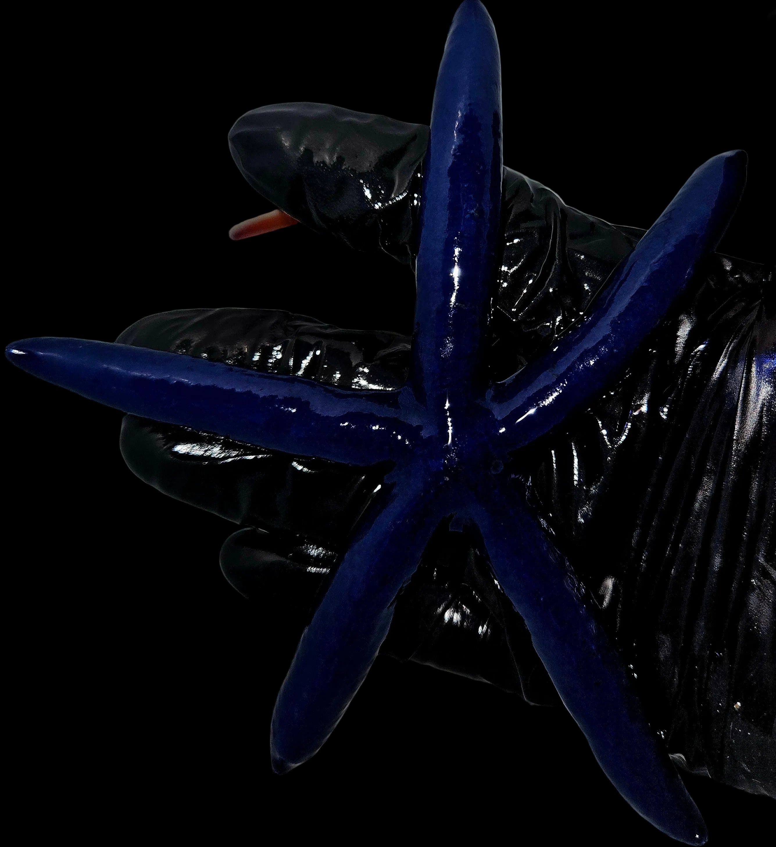 Blue-Linkia-Starfish