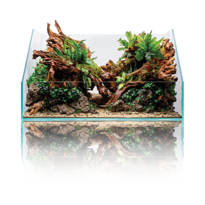 UNS Foresta Paladarium 60 E