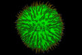 Fungia-Dome-Green