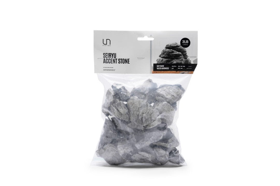 UNS Seiryu Accent Stone