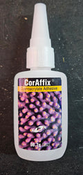 Two-Little-Fishies-CorAffix-Adhesice-2-OZ