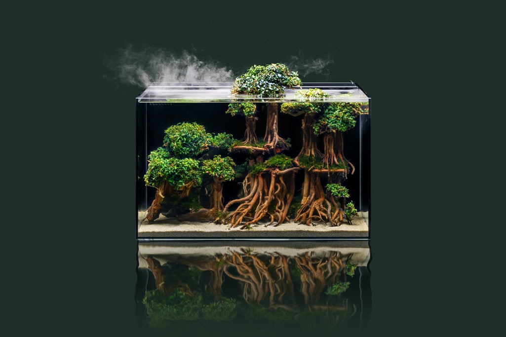 UNS 60A Dual AIO 20 Gallon