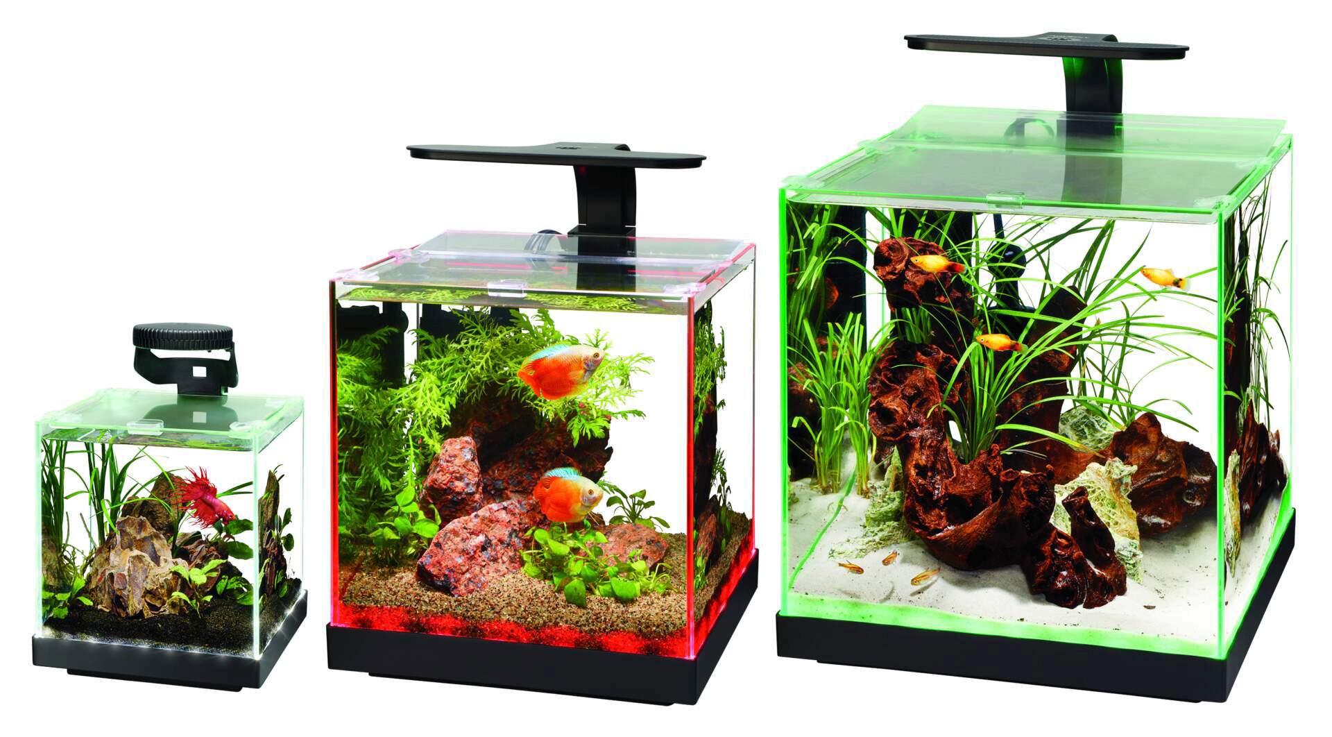 Aqueon Edgelit Rimless Aquarium