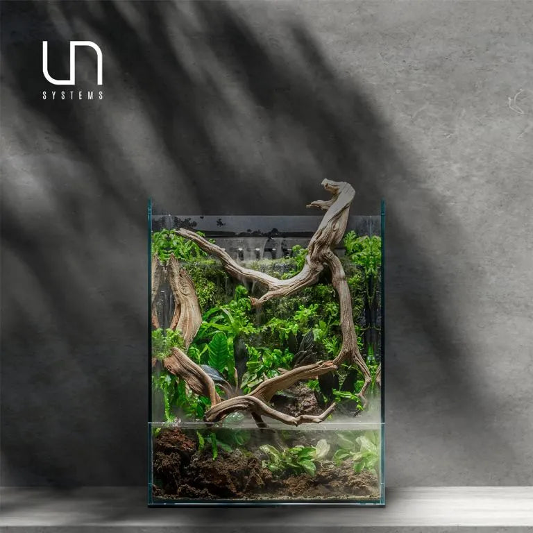 UNS Foresta Paladarium 35 E