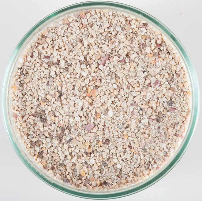 Caribsea Arag Reef Sand